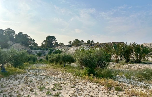 Resale - Country Property/Finca - Abanilla - Inland