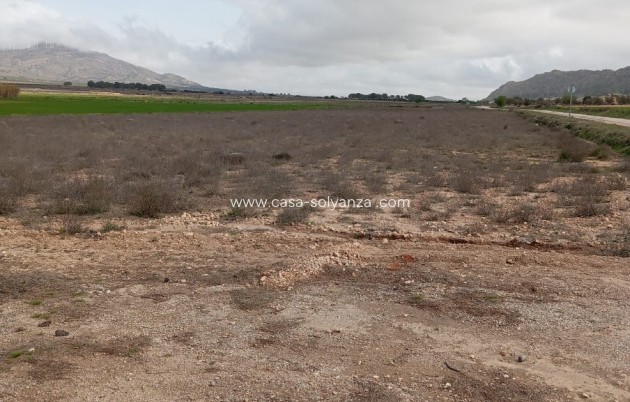 Resale - Villa - Yecla - Inland