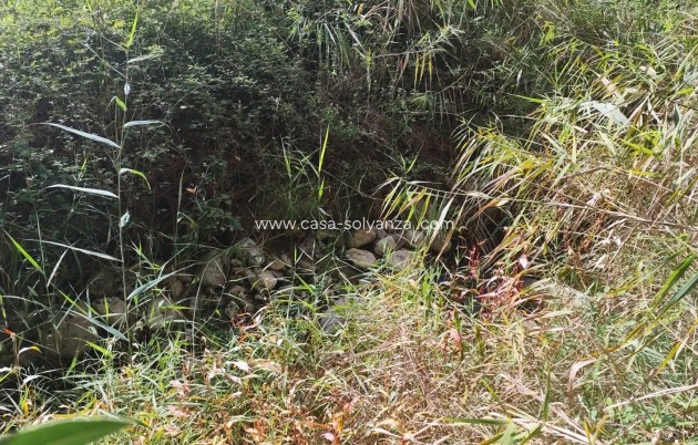 Revente - Land - Moratalla