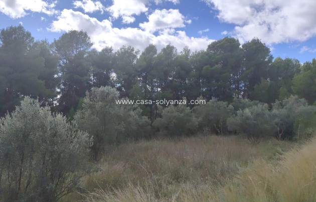 Revente - Land - Moratalla