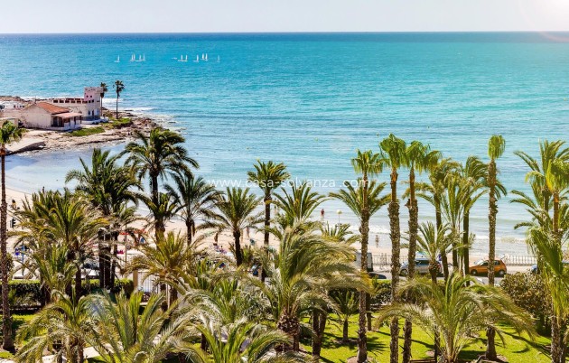 Revente - Maison de ville - Torrevieja - Los Angeles