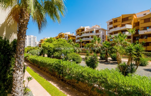 Revente - Appartement - Punta Prima - Costa Blanca