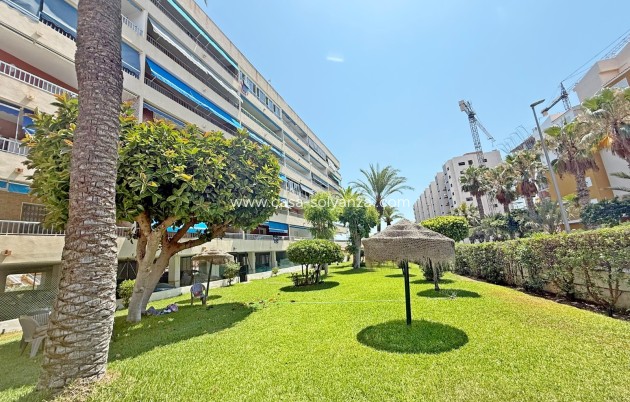 Wiederverkauf - Wohnung - Orihuela Costa - Punta Prima