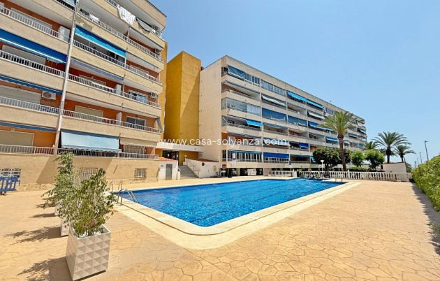 Wiederverkauf - Wohnung - Orihuela Costa - Punta Prima