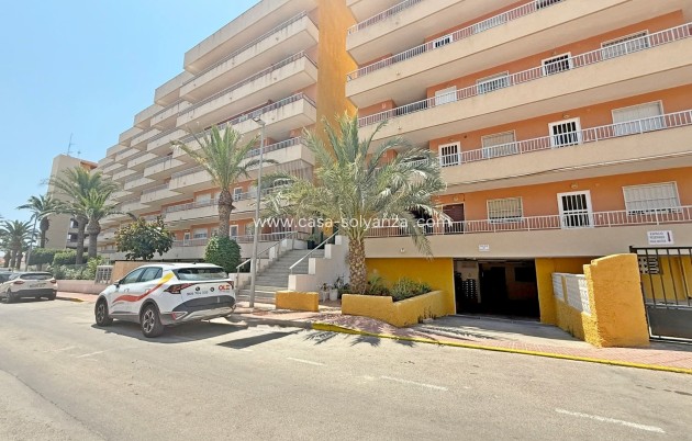 Wiederverkauf - Wohnung - Orihuela Costa - Punta Prima
