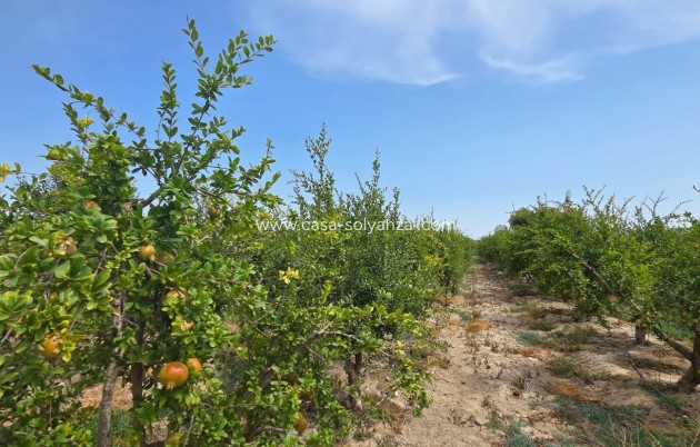 Revente - Land - San Isidro