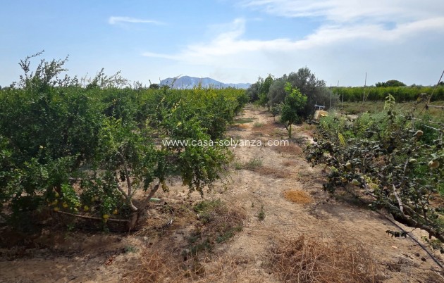 Revente - Land - San Isidro