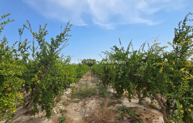 Revente - Land - San Isidro