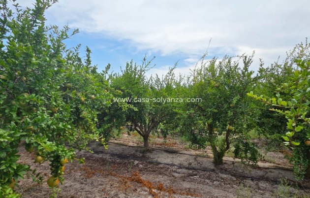 Revente - Land - San Isidro