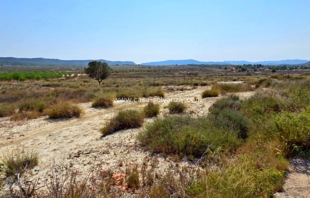 Wiederverkauf - Land - San Miguel de Salinas