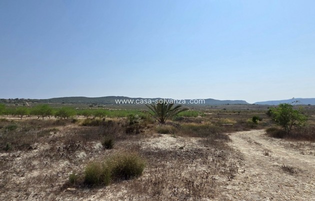 Wiederverkauf - Land - San Miguel de Salinas