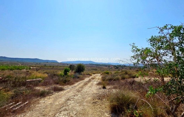 Wiederverkauf - Land - San Miguel de Salinas