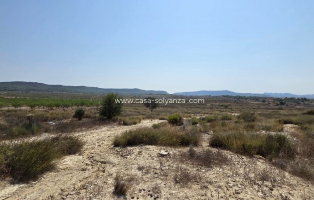 Wiederverkauf - Land - San Miguel de Salinas