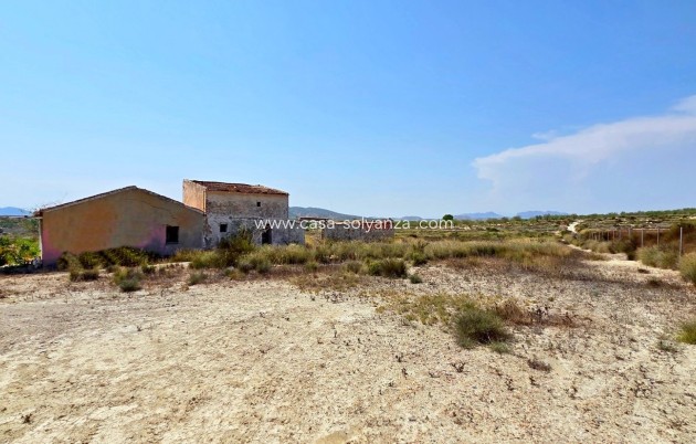 Wiederverkauf - Land - San Miguel de Salinas