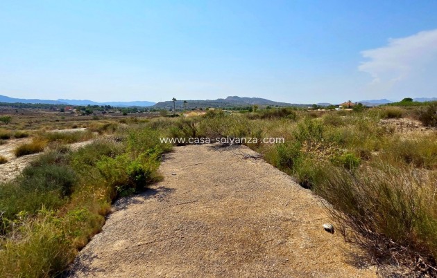 Wiederverkauf - Land - San Miguel de Salinas