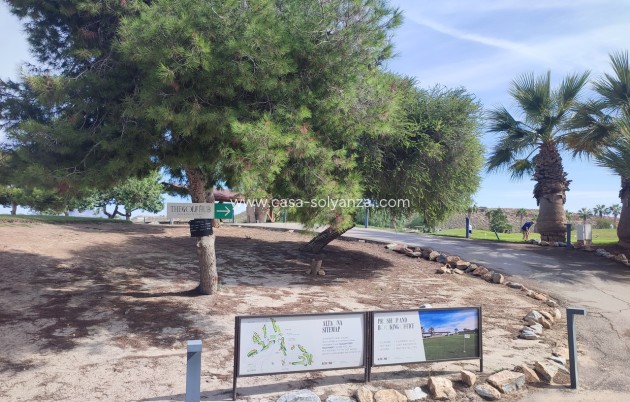 Revente - Appartement - Altaona Golf - Inland