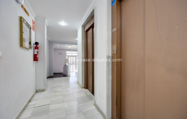 Revente - Appartement - Guardamar del Segura - Pueblo