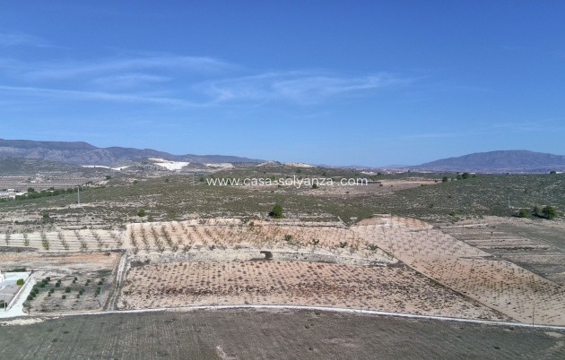 Revente - Land - Canada del Trigo - Inland