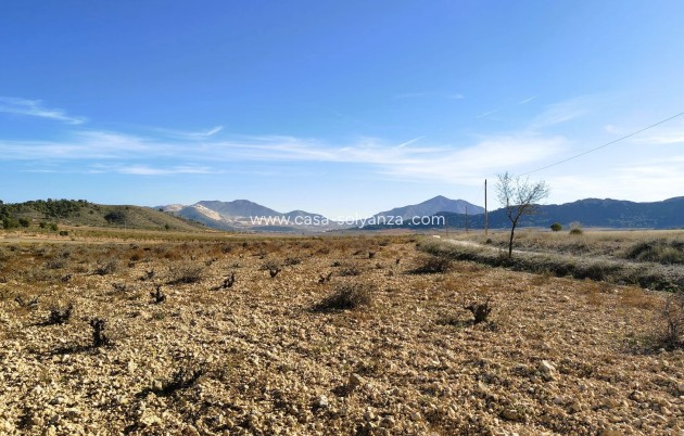 Revente - Land - Canada del Trigo - Inland