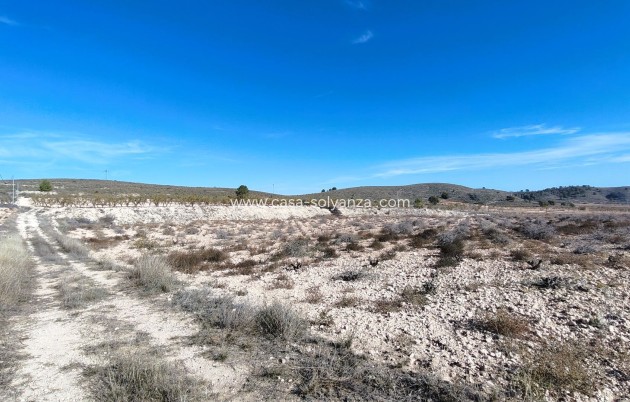 Revente - Land - Canada del Trigo - Inland