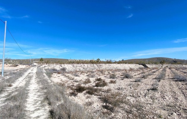 Revente - Land - Canada del Trigo - Inland