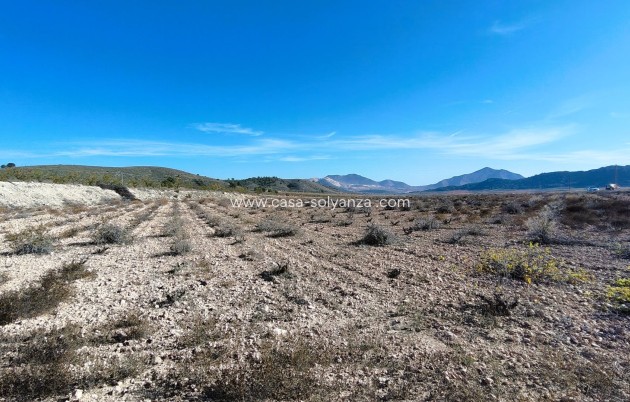 Revente - Land - Canada del Trigo - Inland