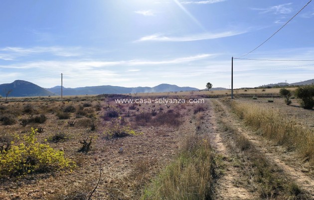 Revente - Land - Canada del Trigo - Inland