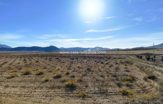 Revente - Land - Canada del Trigo - Inland