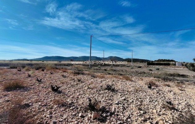 Revente - Land - Canada del Trigo - Inland