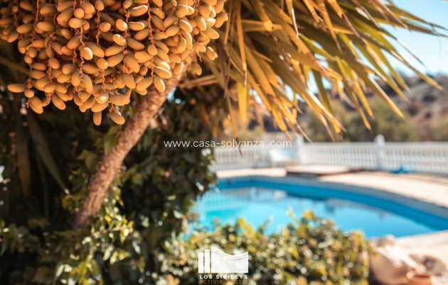Resale - Country Property/Finca - Lorca - Costa Calida