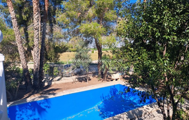 Revente - Country Property/Finca - Orihuela - Inland