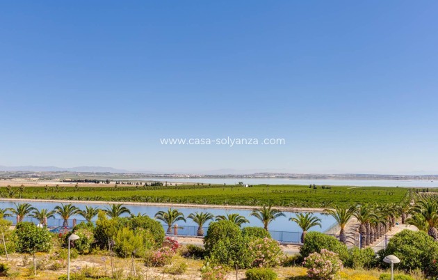 Wiederverkauf - Wohnung - Torrevieja - Los Balcones