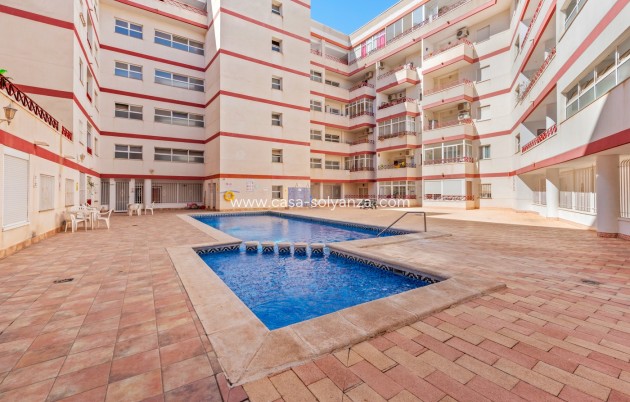 Revente - Appartement - Torrevieja - Costa Blanca