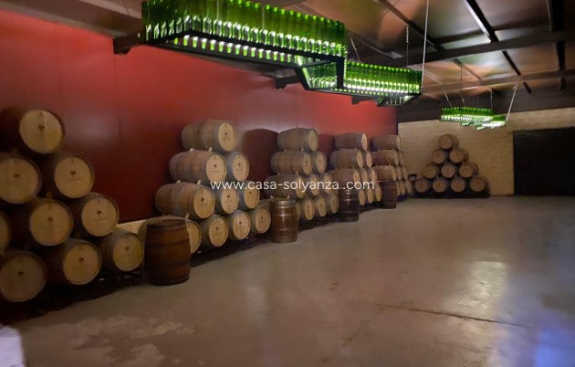 Wiederverkauf - wine cellar - Albacete