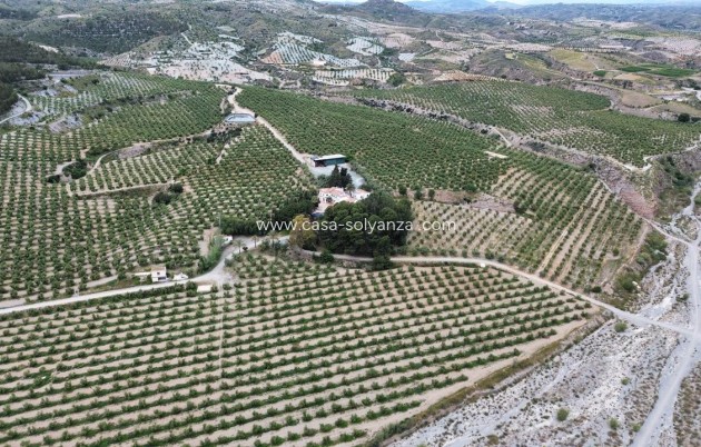 Wiederverkauf - Olivar - Murcia - Rincón de Seca