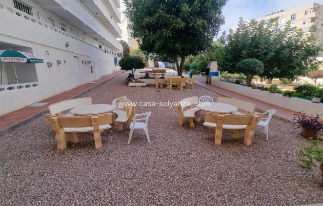 Revente - Appartement - Torrevieja - Torreblanca