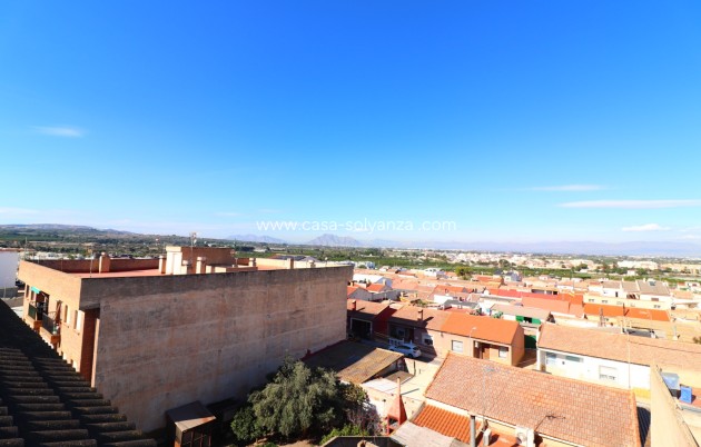 Revente - Appartement - Benijofar - Benijofar - Village