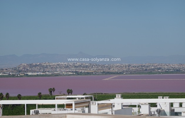 Resale - Apartment / flat - Torrevieja - Los Balcones