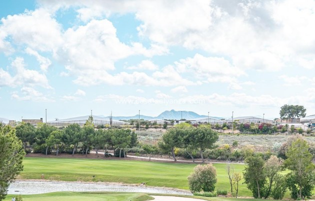 Revente - Maison de ville - Pilar de la Horadada - Costa Blanca