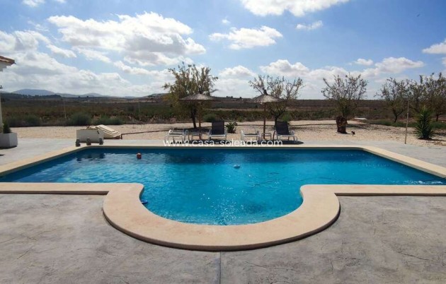 Revente - Villa - Pinoso - Inland
