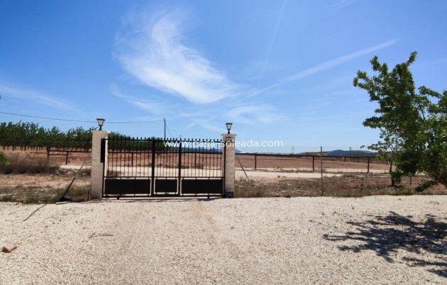Revente - Villa - Pinoso - Inland