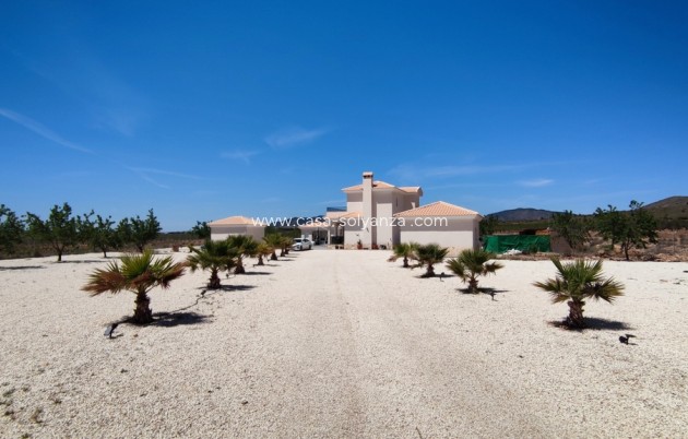 Revente - Villa - Pinoso - Inland