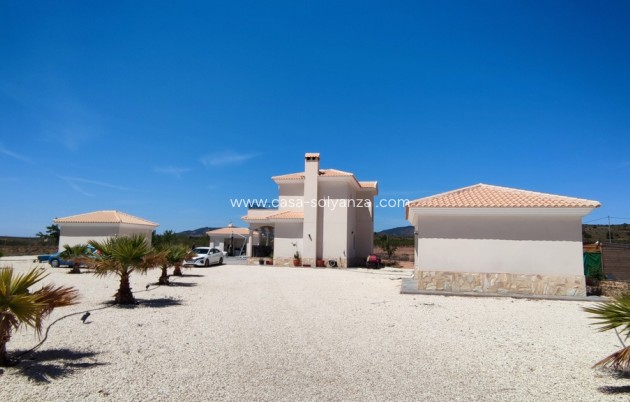 Revente - Villa - Pinoso - Inland