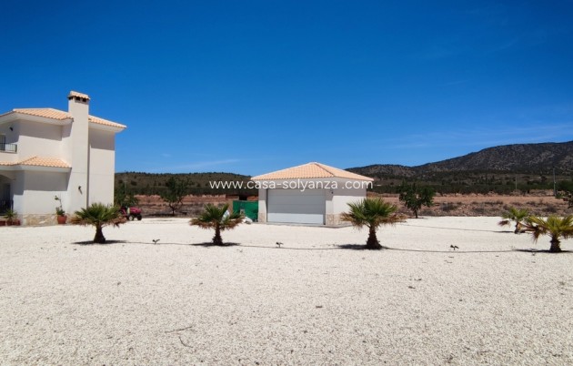 Revente - Villa - Pinoso - Inland