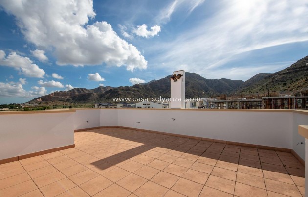 Nouvelle construction - Maison de ville - Cox - San Fernando