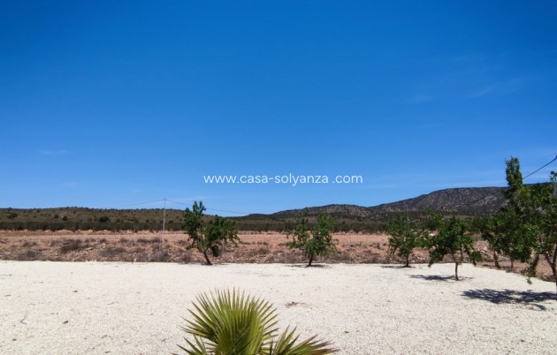 Revente - Villa - Pinoso - Inland