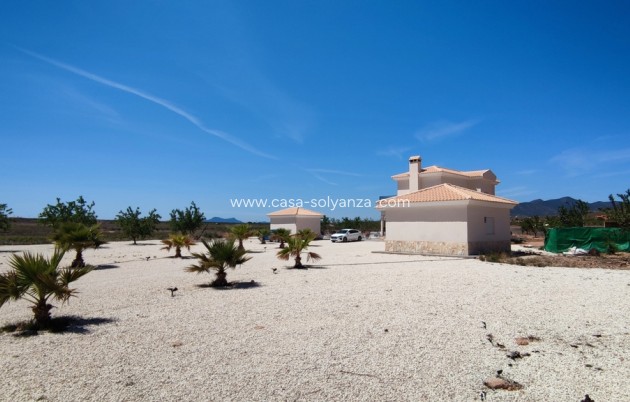 Revente - Villa - Pinoso - Inland
