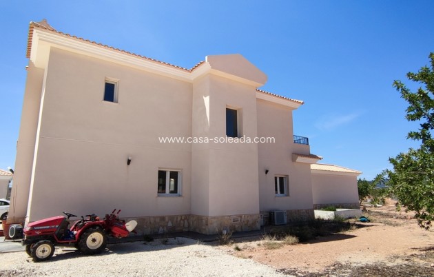 Revente - Villa - Pinoso - Inland