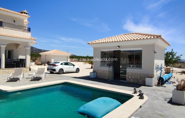 Revente - Villa - Pinoso - Inland