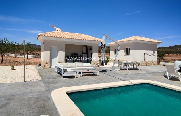 Revente - Villa - Pinoso - Inland